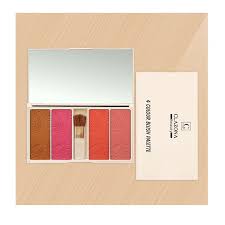 CLAZONA BLUSH ON 4 COLOR PALLETE
