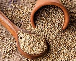 BAJRA