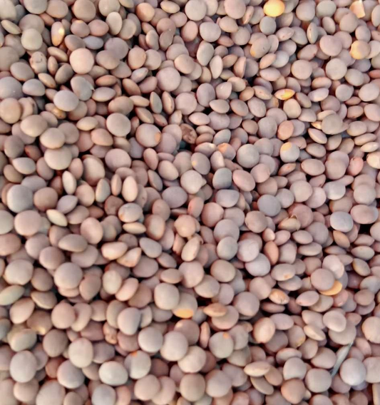 DAAL MASAR SABUT