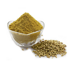 RN DHANIYA POWDER 200G