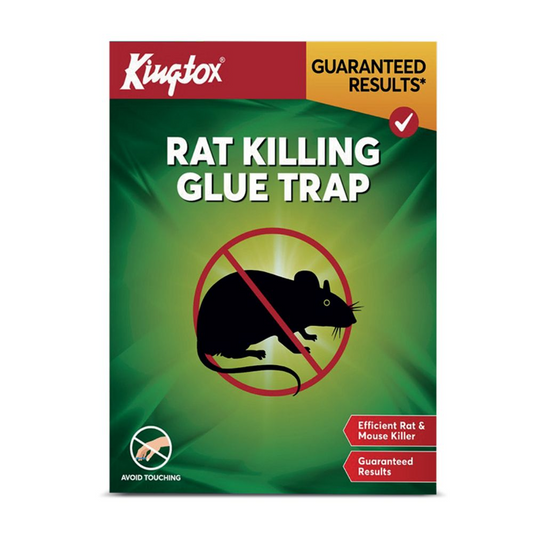 KINGTOX RAT KILLER GLUE TRAP