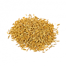 RN WHITE ZEERA WHOLE 100G